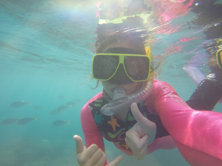 DCIM100GOPROGOPR1081.