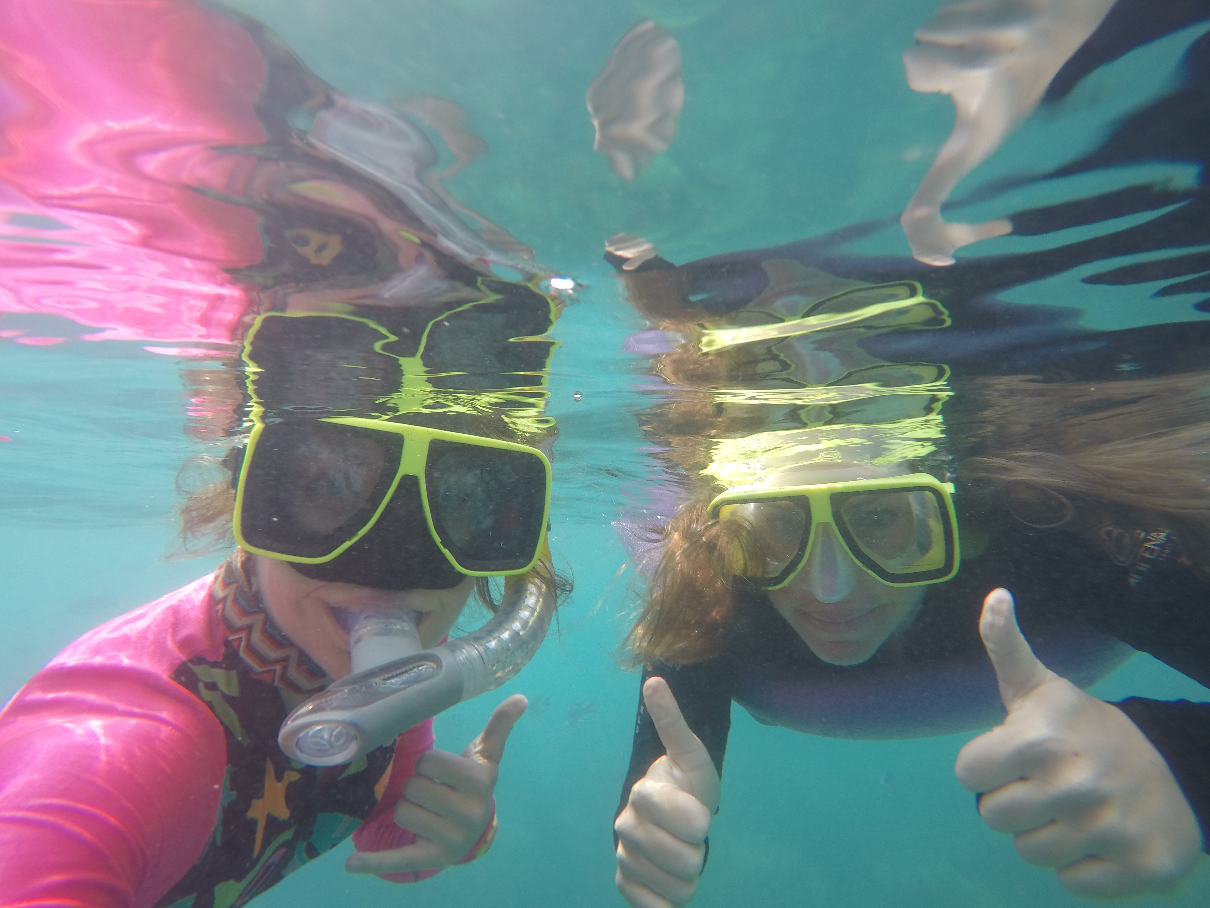 DCIM100GOPROGOPR1082.