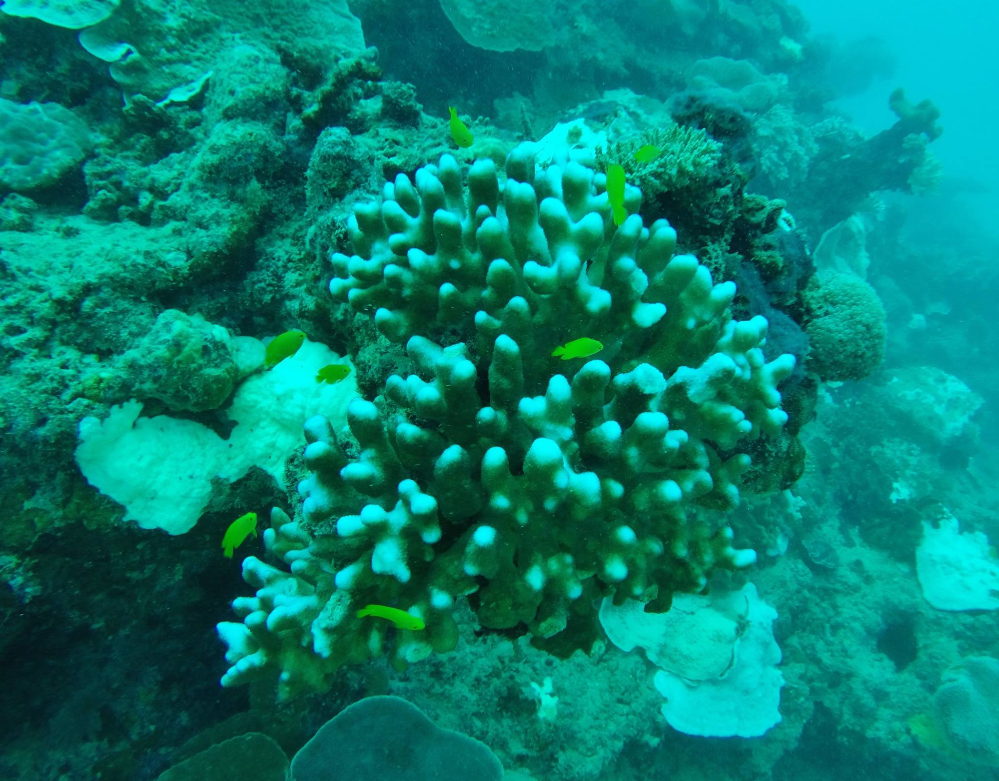 13323522_10208658966303601_5381414186633216896_o